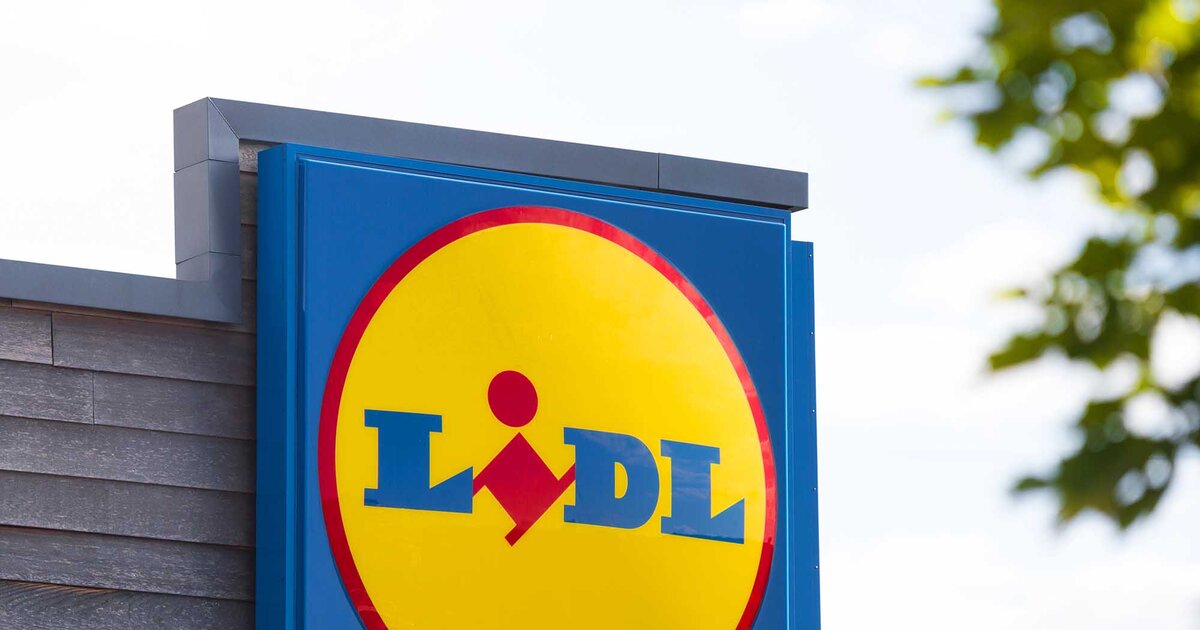 Lidl的售價為20.3。每個駕駛員都需要的小工具